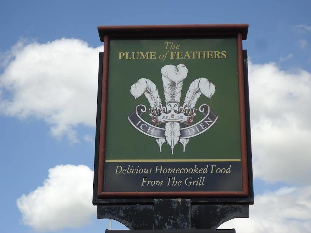 The Plume Of Feathers Bed & Breakfast Shrewsbury Exterior photo