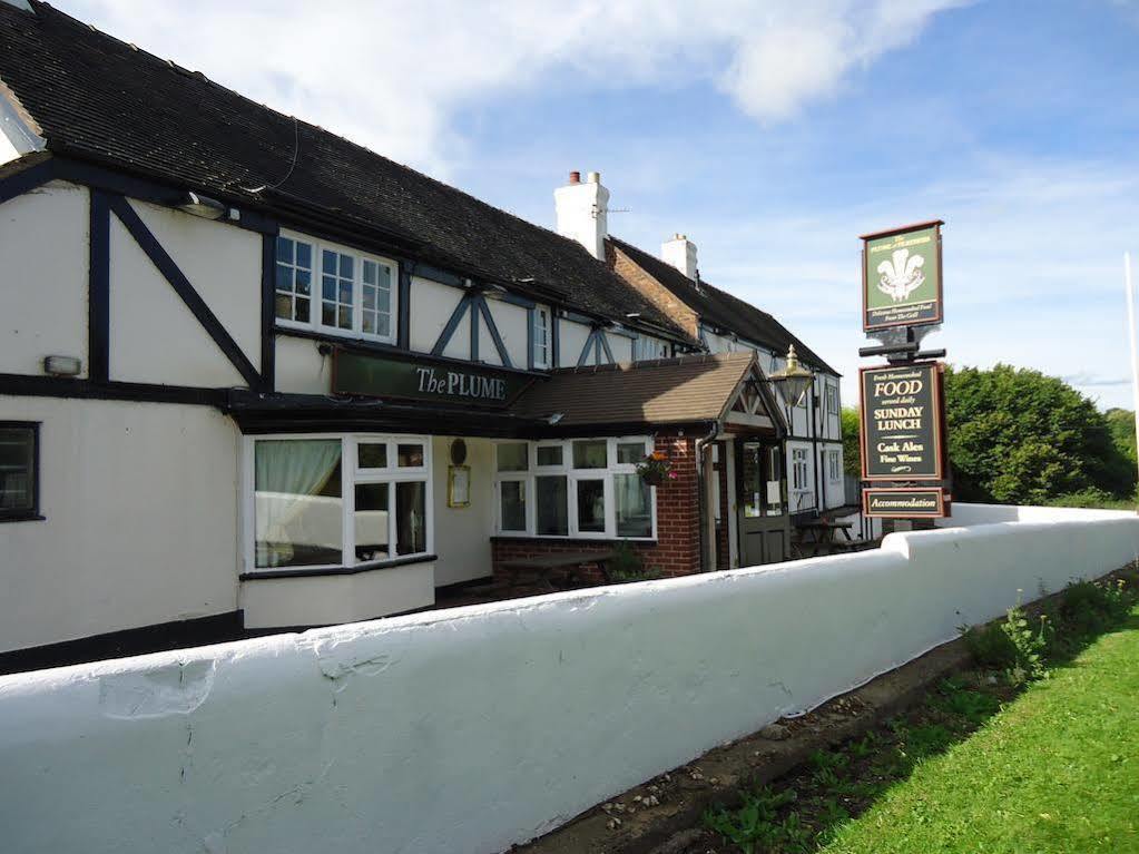 The Plume Of Feathers Bed & Breakfast Shrewsbury Exterior photo